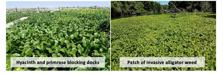 Photos from Division of Boating and Waterways.